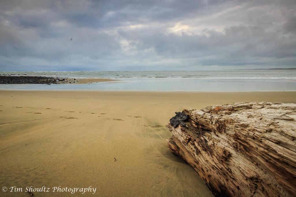 a log sitting on a beach with the ocean at Whare Manu Boutique Cottage in Invercargill