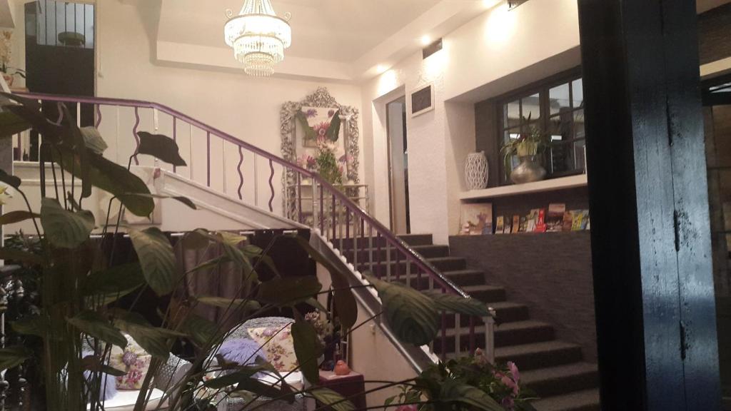 Logis l'Estelvin chambres d'hôtes - 17