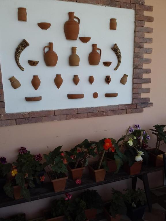 Fotografie z fotogalerie ubytování Guest House Medea v destinaci Telavi