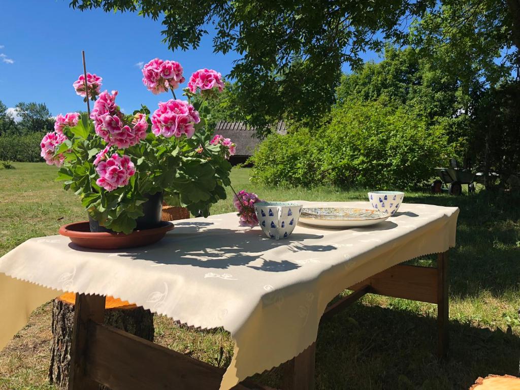 Zahrada ubytování Käspri Farmstay