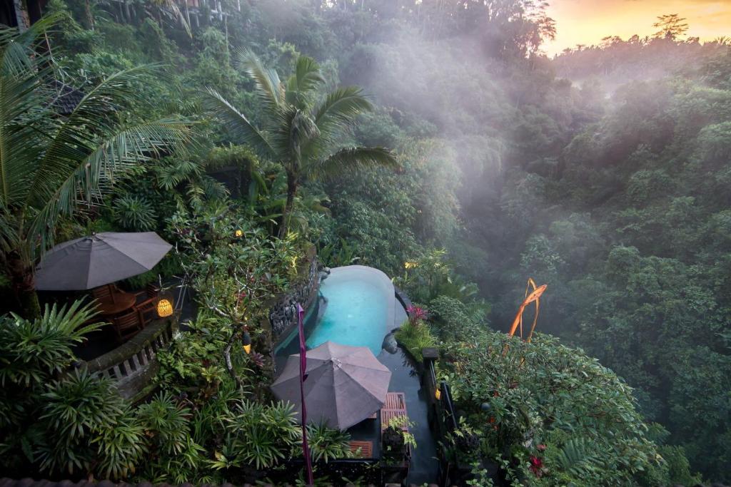 un tobogán de agua en medio de un bosque en Bidadari Private Villas & Retreat, en Ubud