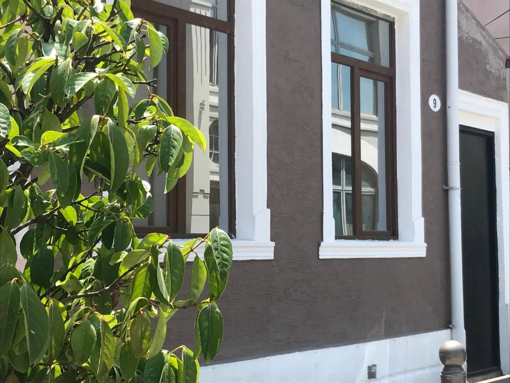 una casa con dos ventanas y un árbol delante de ella en Old batumi apartment on kostava 9 en Batumi