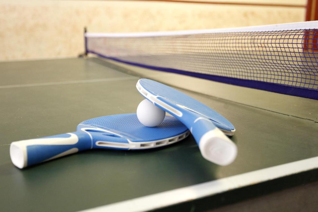 Stolní tenis v ubytování Kvibergs Vandrarhem - Hostel nebo okolí