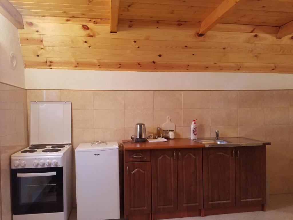 Kuchyň nebo kuchyňský kout v ubytování Vikendica FILIP L