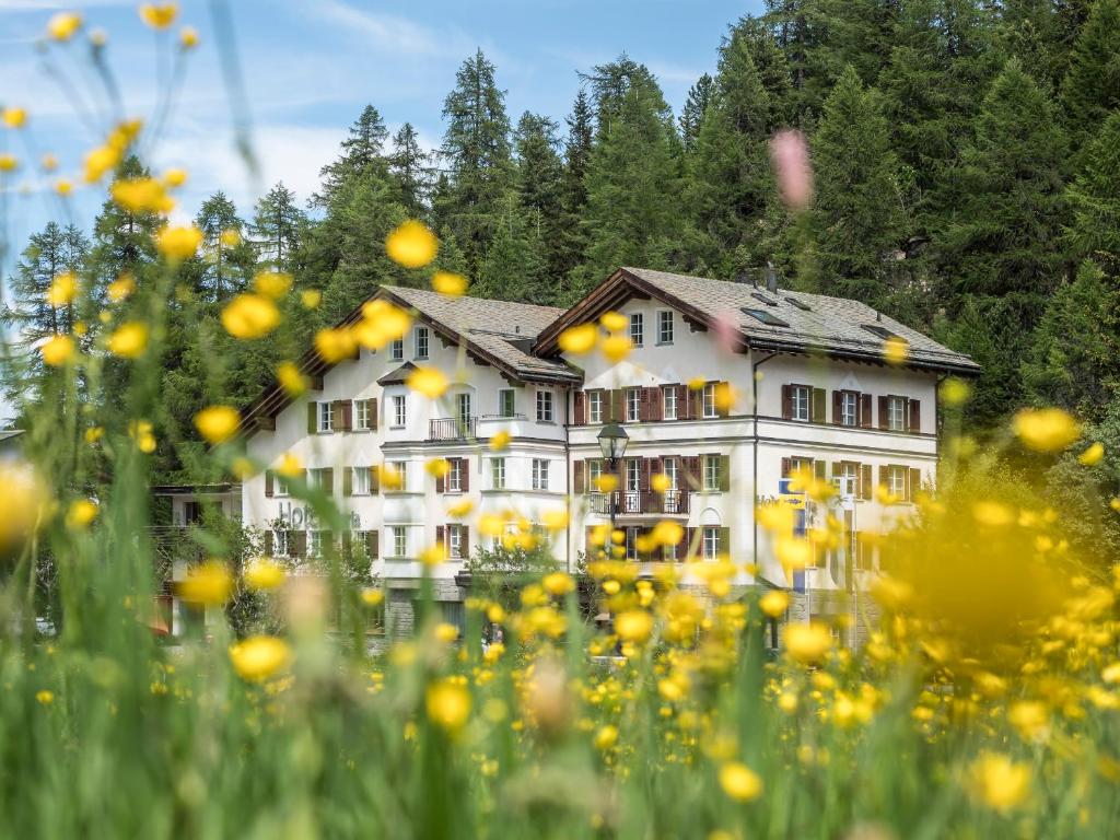 a large white house in the middle of a field of flowers at Hotel Maria in Sils Maria