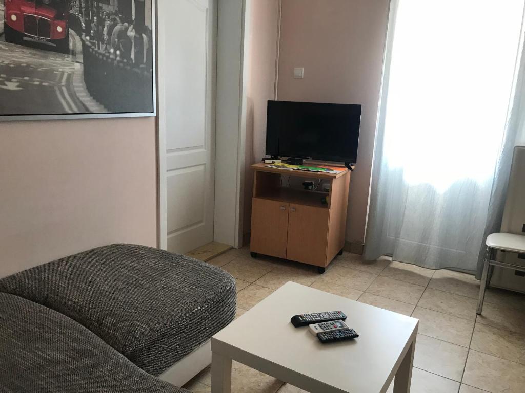 TV a/nebo společenská místnost v ubytování Apartmani Tomovic