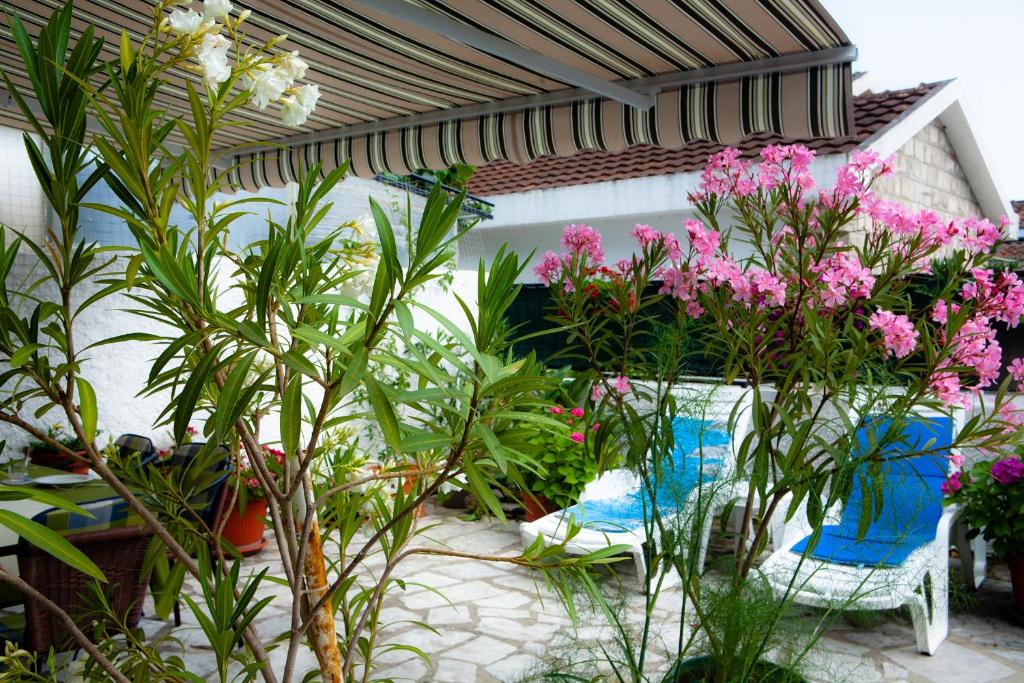Κήπος έξω από το Josephine Apartment