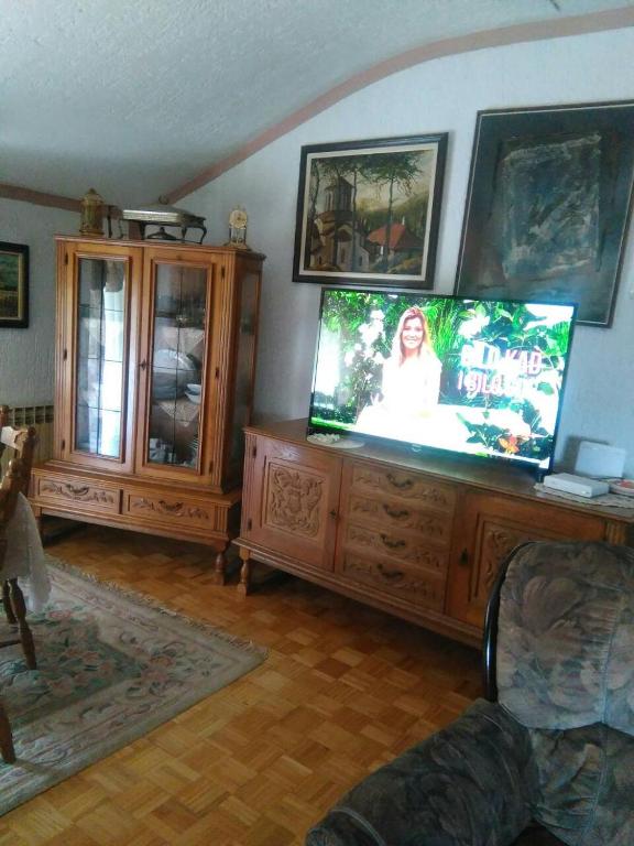 TV a/nebo společenská místnost v ubytování Apartment Relax