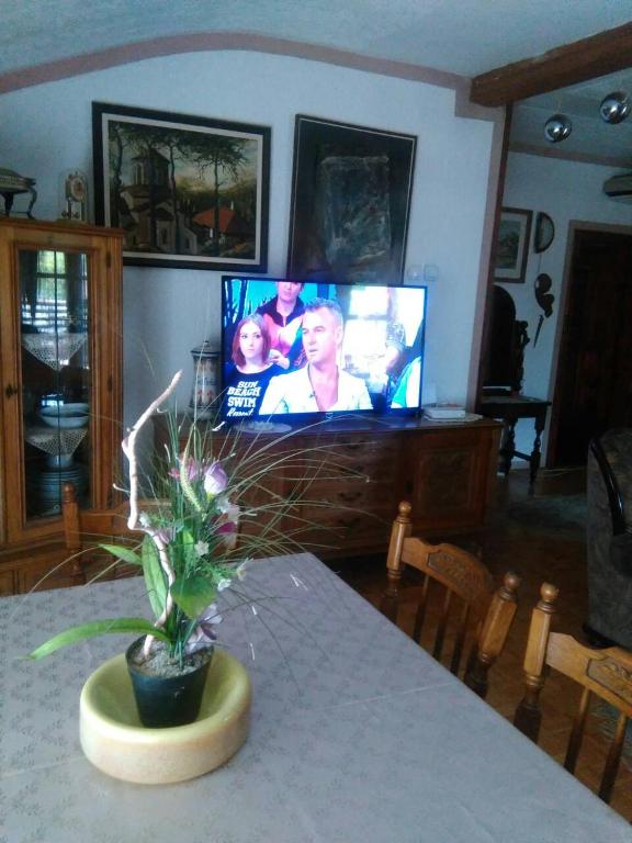 TV a/nebo společenská místnost v ubytování Apartment Relax