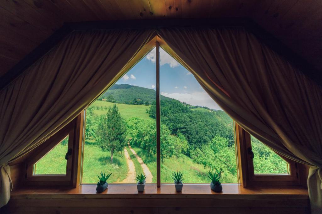 Paesaggio naturale nelle vicinanze dello chalet
