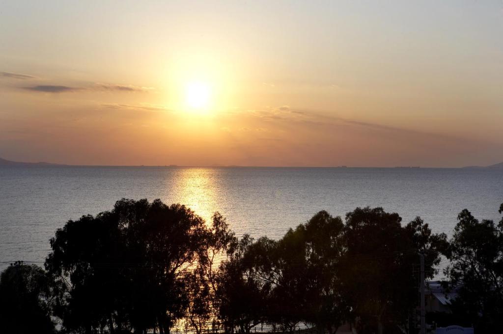 Amarilia Hotel - Resim 35