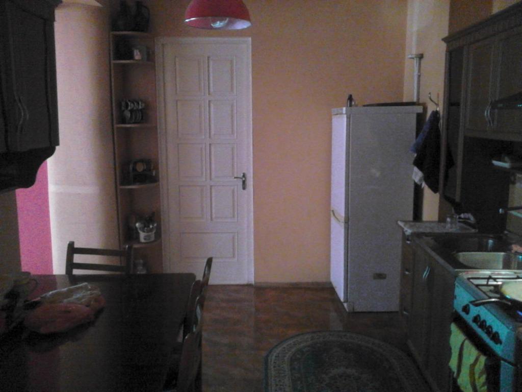 Kuchyň nebo kuchyňský kout v ubytování Tbilisi Home