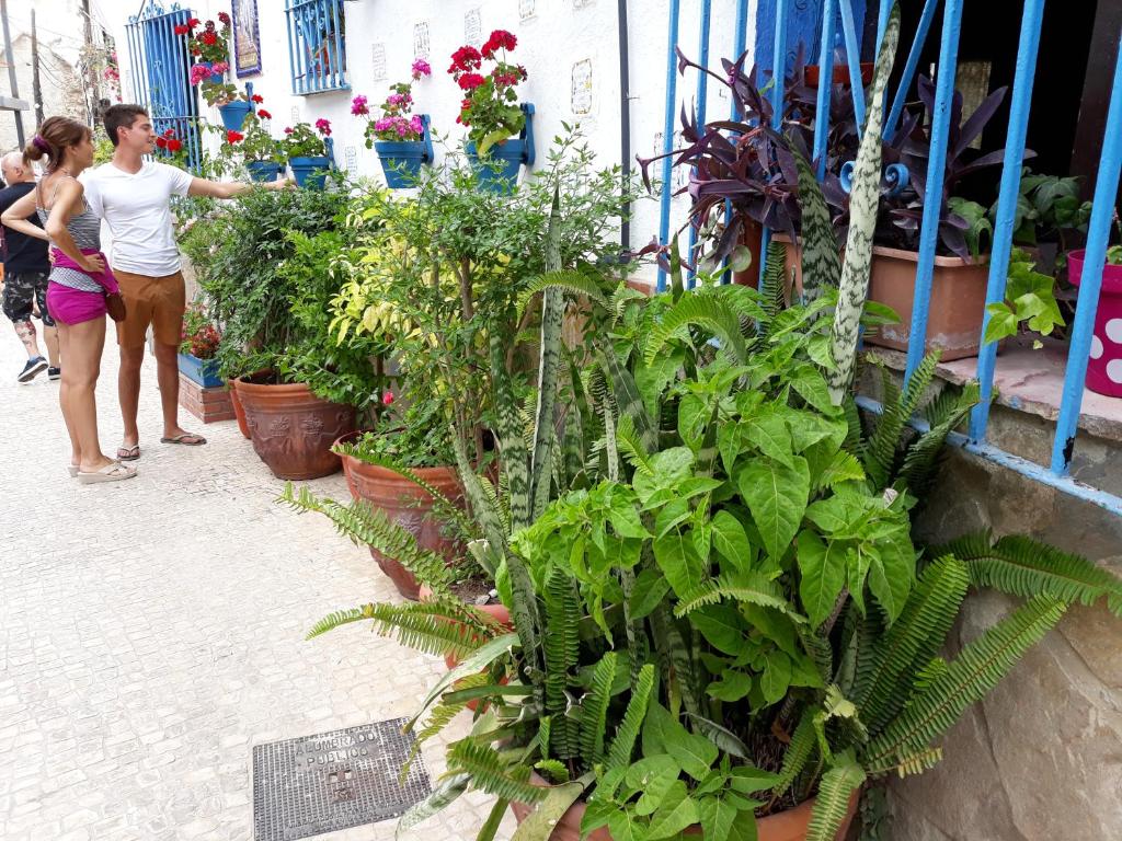Hostia v ubytovaní Micaela Charming Hostal
