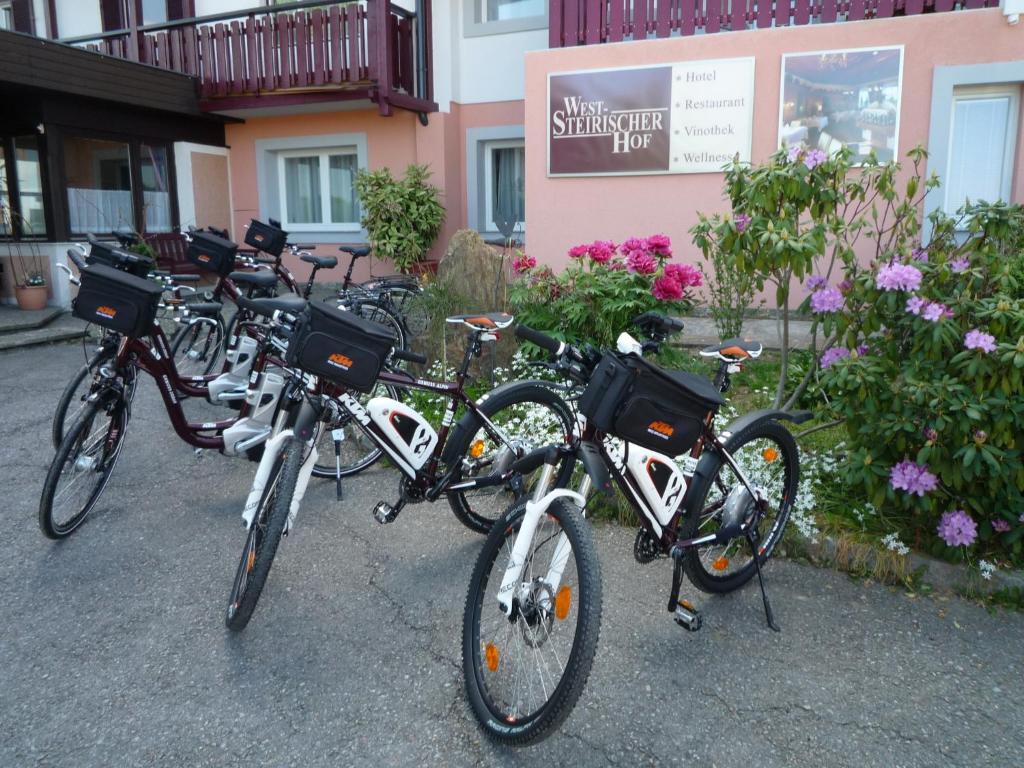 Jízda na kole v ubytování Weststeirischer Hof nebo okolí