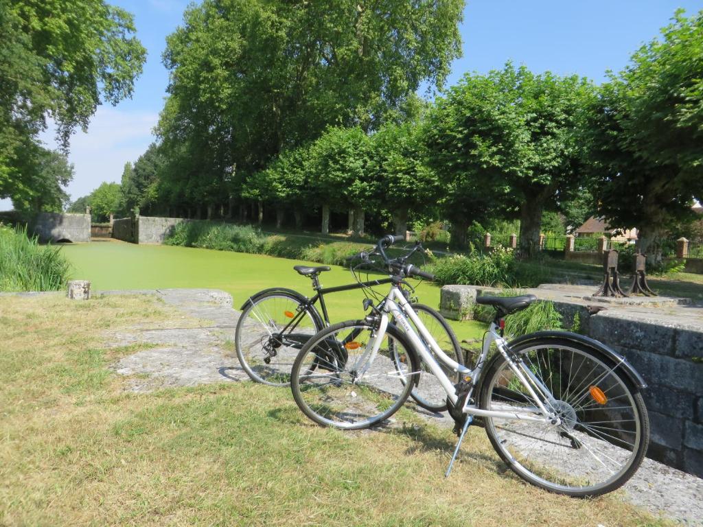 two bikes parked on the grass in a park at Chambres d&#39;Hôtes L’Échappée Belle in Saint-Brisson-sur-Loire