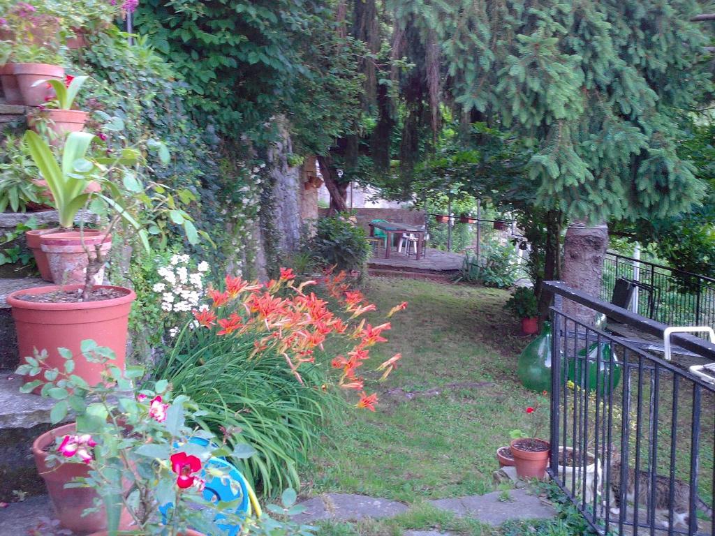 A garden outside B&B I Glicini