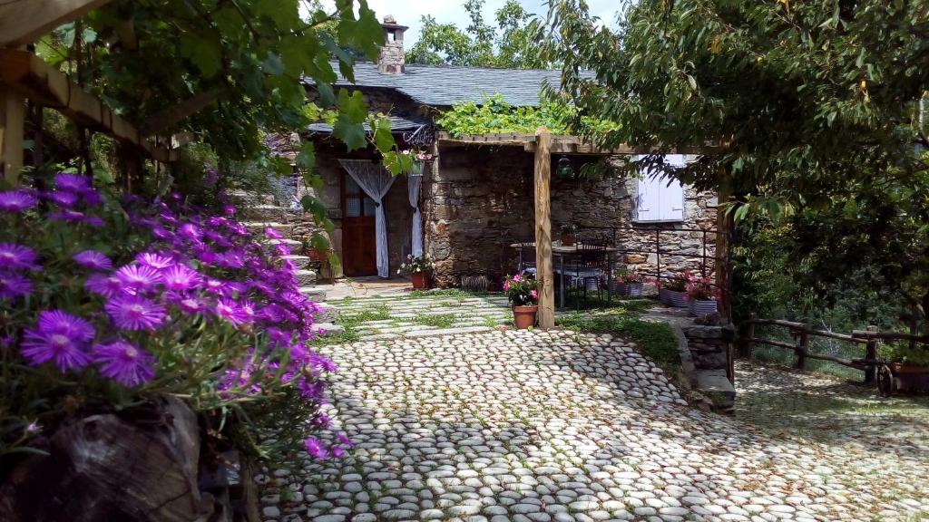 una pasarela de piedra frente a una casa con flores púrpuras en Casa Millin en Borzonasca