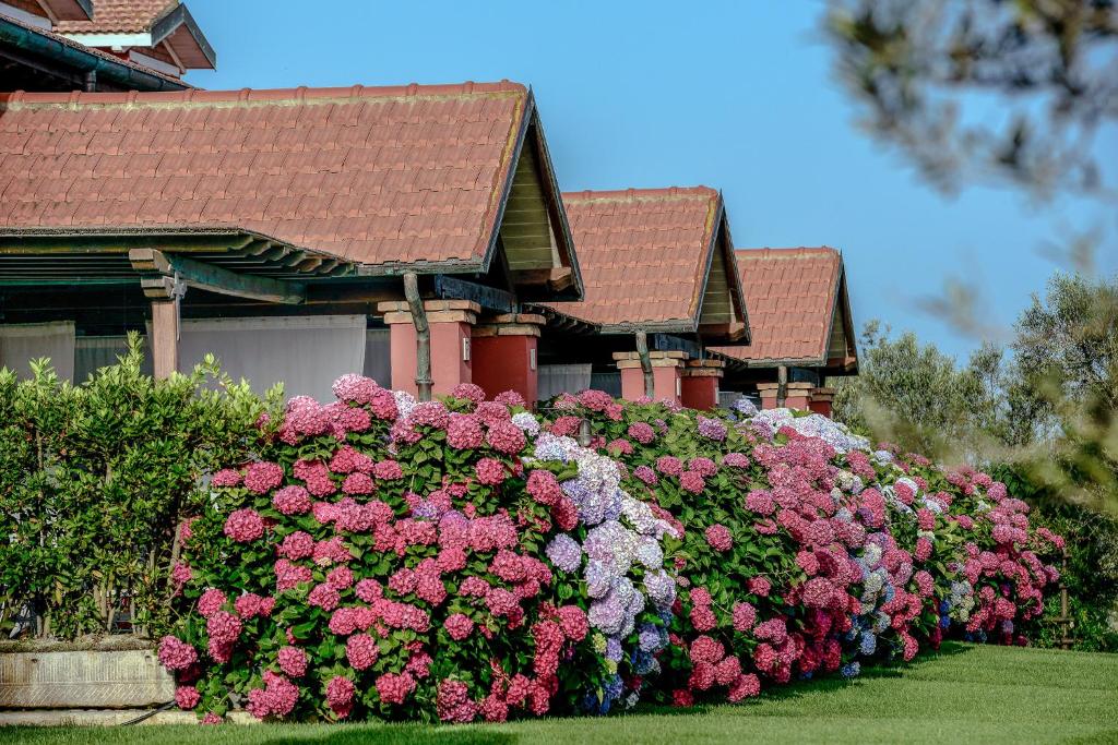 a garden of flowers in front of a house at La Pecora Ladra Appartamenti in Montalto di Castro