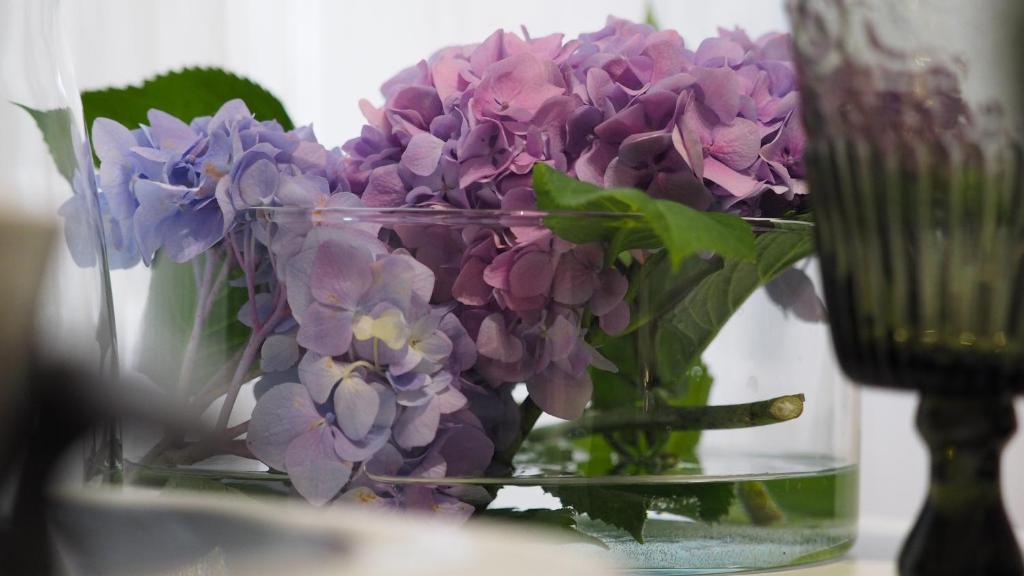 Nico Apartments - 13