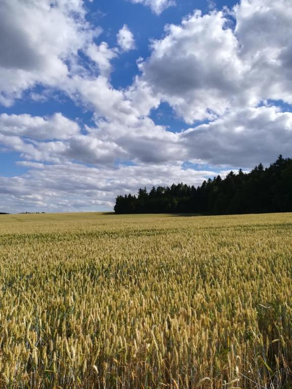 Paesaggio naturale nelle vicinanze della casa vacanze