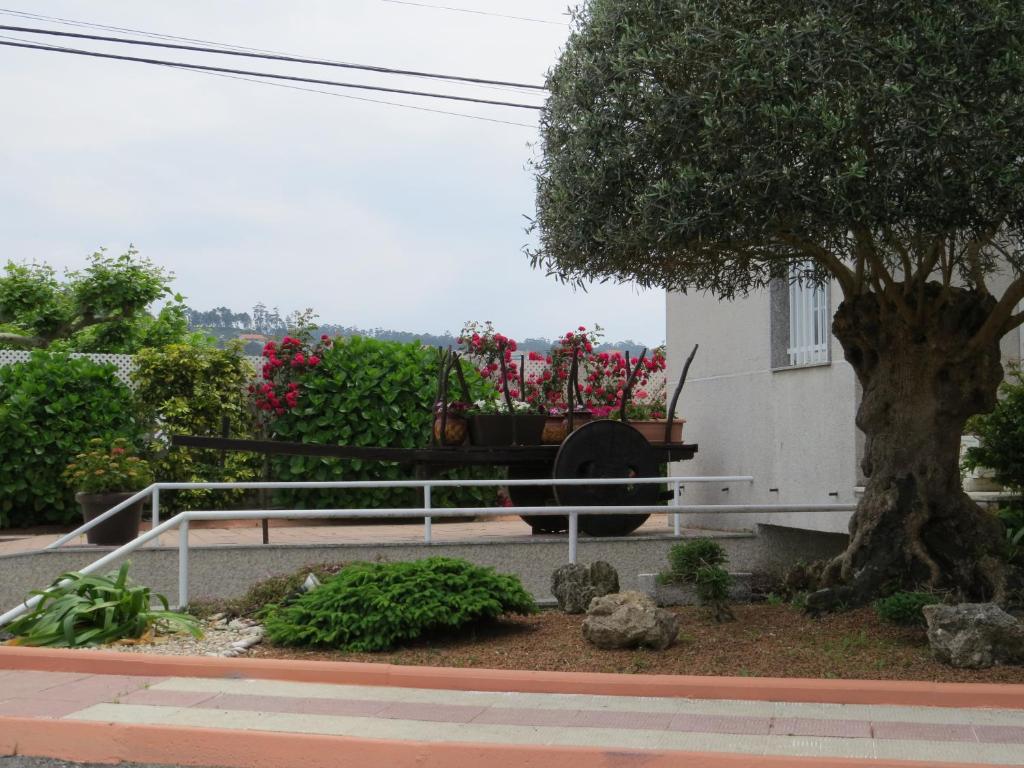 Vonkajšia záhrada v ubytovaní Hotel La Lanzada