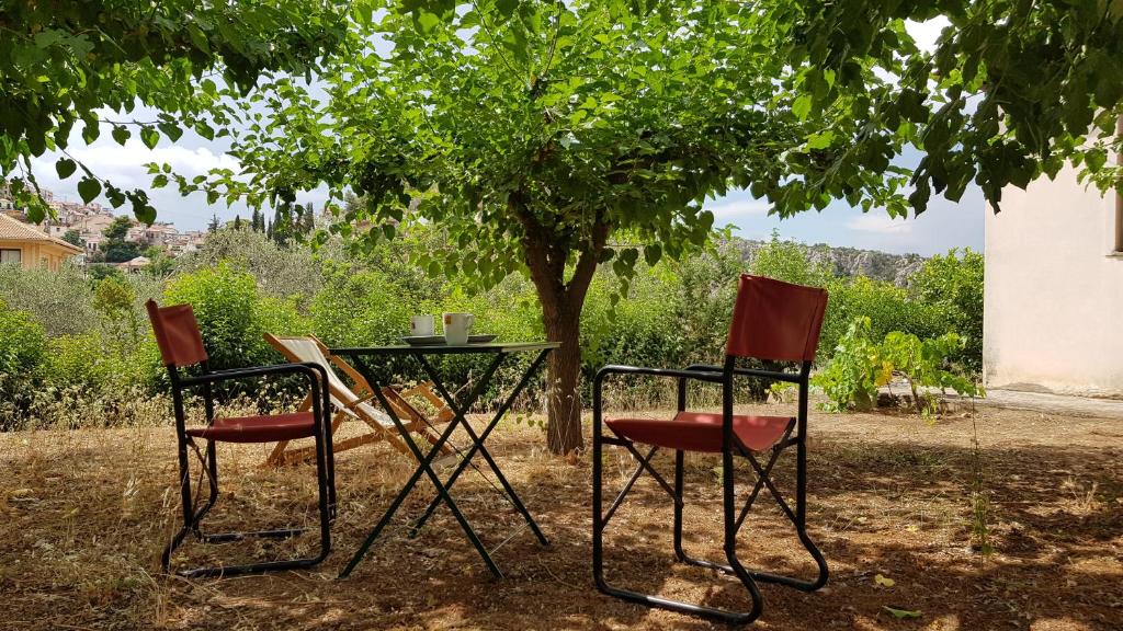 ネア・エピダヴロスにあるAmple Modern Country Homeの木の下の椅子2脚とテーブル