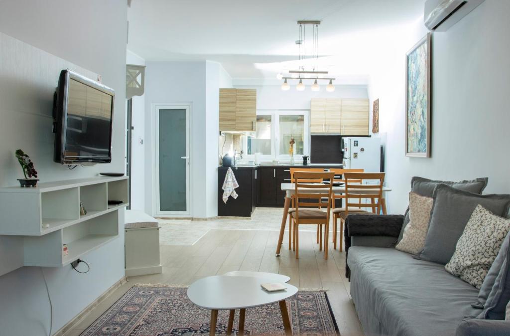 TV a/nebo společenská místnost v ubytování Cozy Apartment in the very centre of Sofia