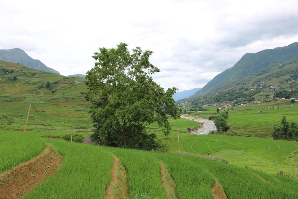 SaPa Farmer House - 16