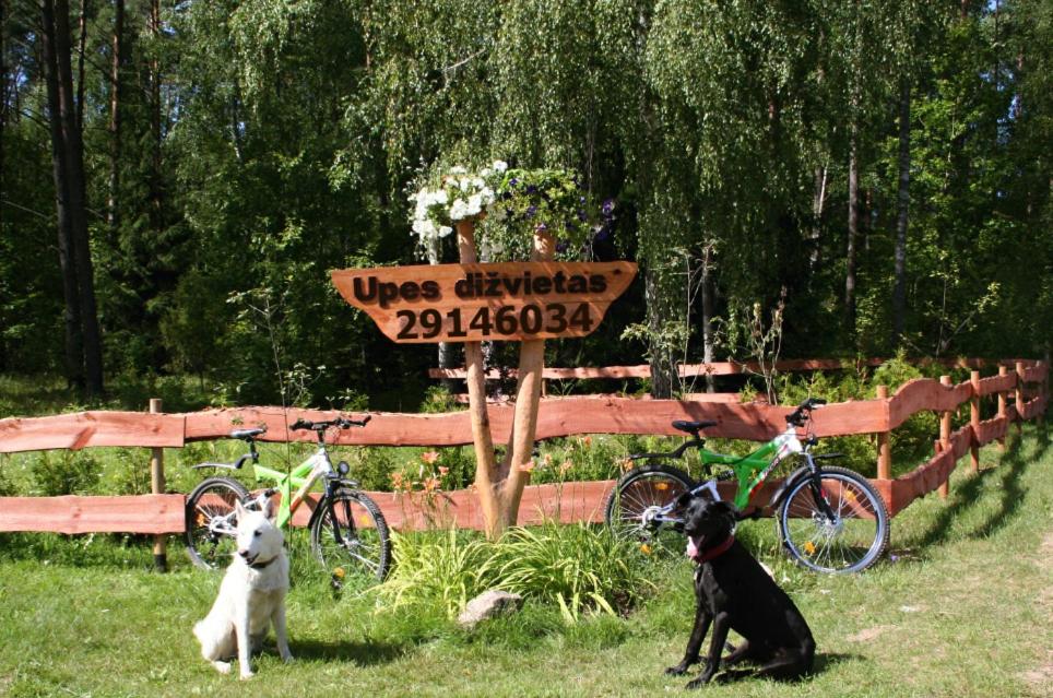 deux chiens assis dans l'herbe à côté d'un panneau dans l'établissement Nature Retreat "Upes Dižvietas", à Krāslava
