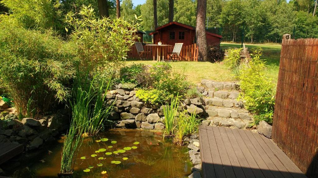 a garden with a pond and a cabin in the background at Ruhe pur am Golfplatz Stromberg in Stromberg