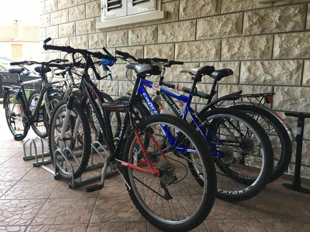 Jazda na bicykli v okolí ubytovania Apartments Vela Luka