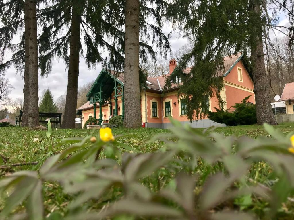 Zahrada ubytování St. Hubertus Étterem és Panzió