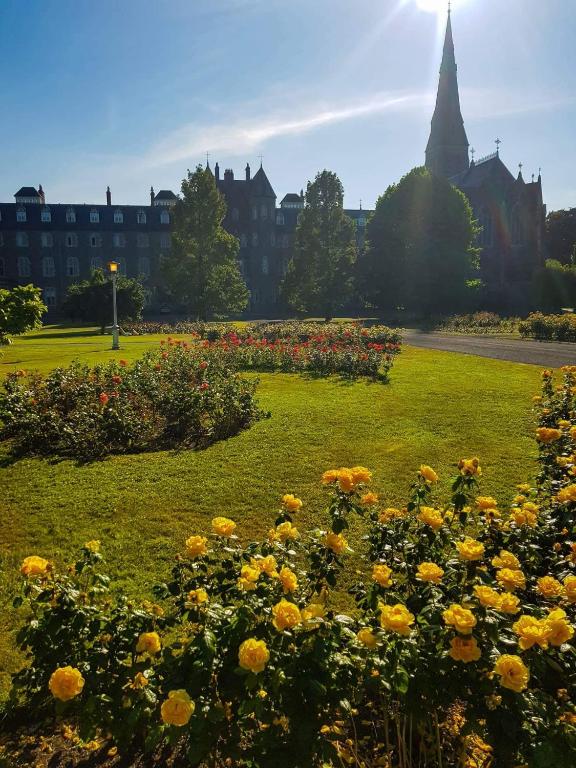 Zahrada ubytování Maynooth Campus Accommodation