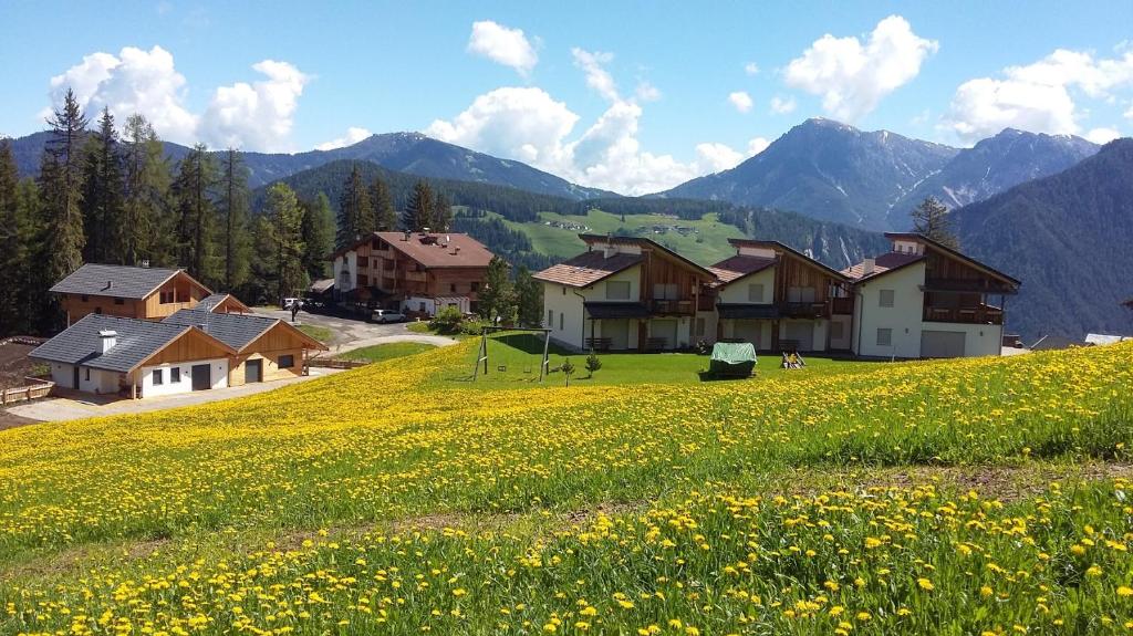 a field of yellow flowers on a hill with houses at Chalet Frapes in San Martino in Badia