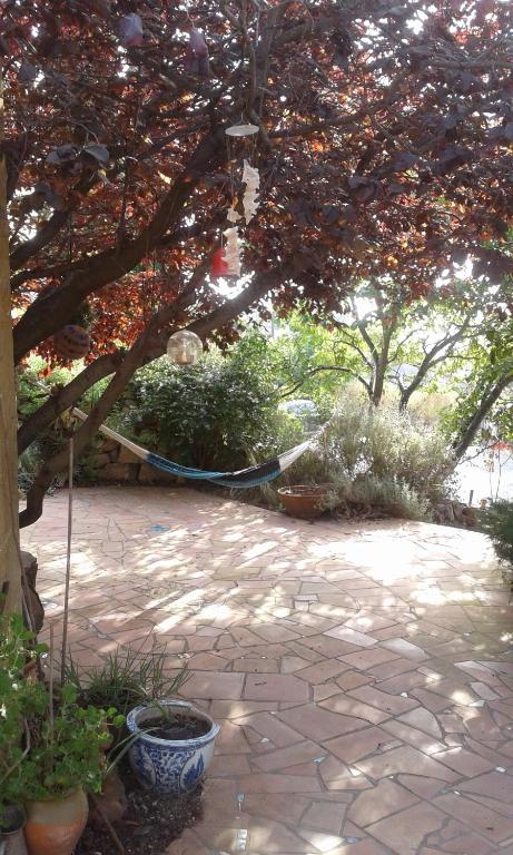 Fitou的住宿－Atelier Pasquer，树下带吊床的庭院