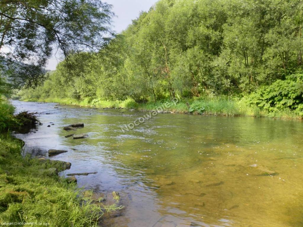 Príroda v okolí apartmánu