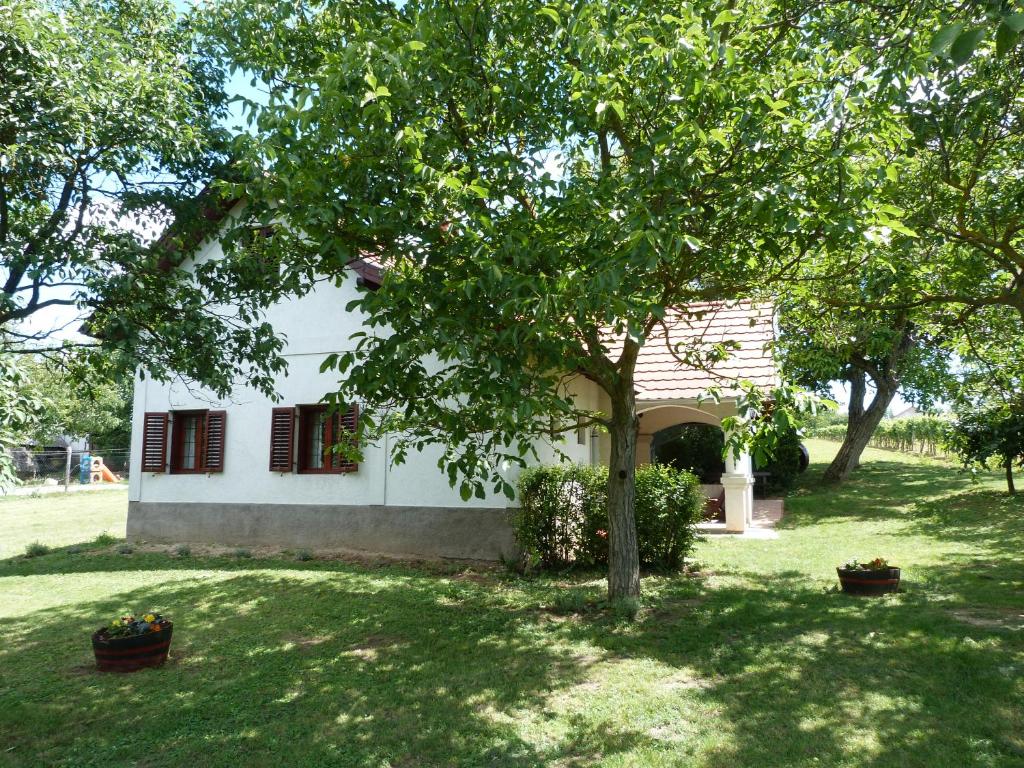 ザマールディにあるIstván Pince Vendégházの庭木白家