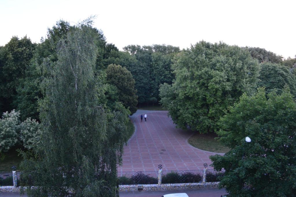 Příroda nedaleko apartmánu