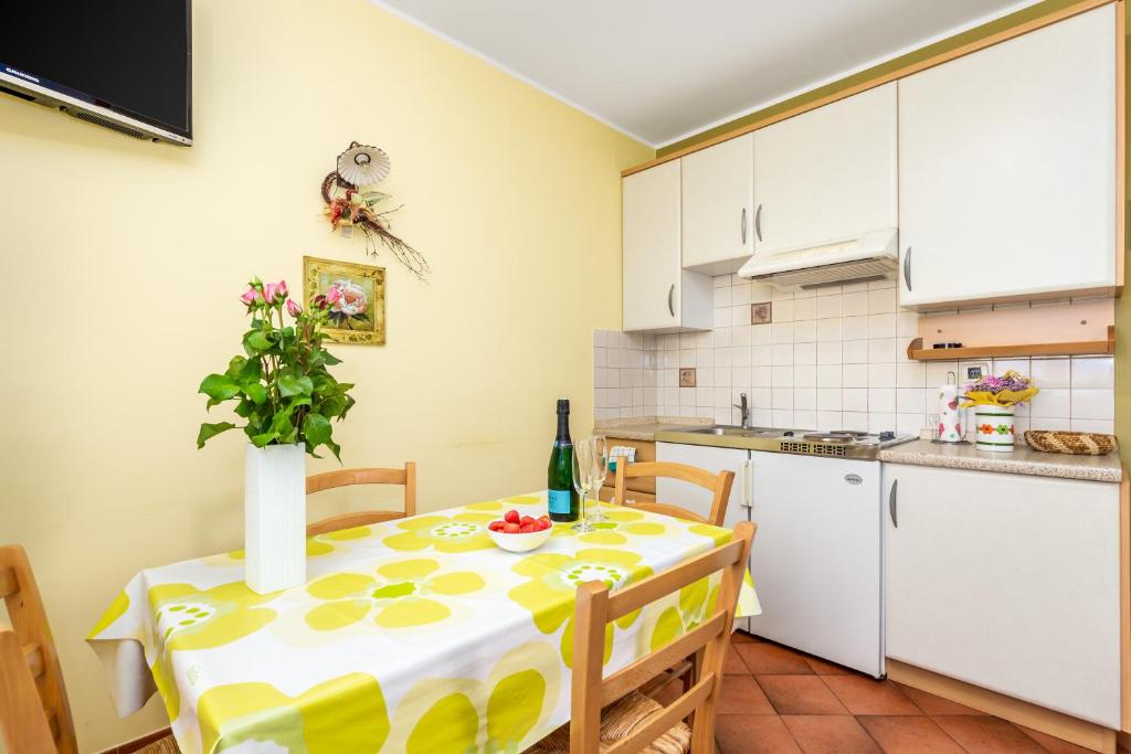 Kuchnia lub aneks kuchenny w obiekcie Rona Apartments Ani