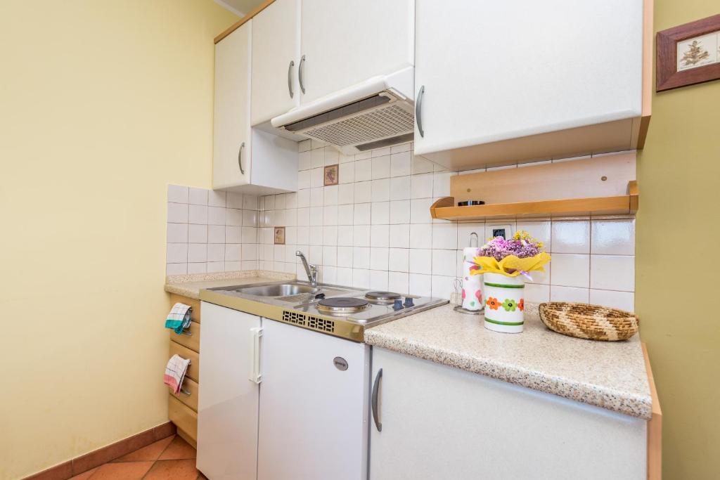 Kuchnia lub aneks kuchenny w obiekcie Rona Apartments Ani