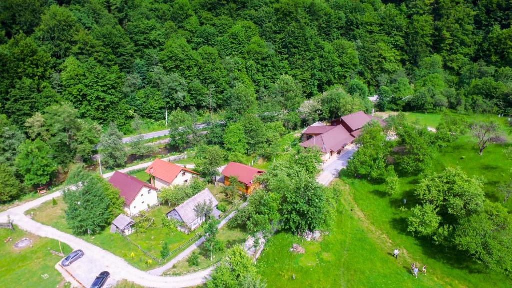 A bird's-eye view of Pensiunea Lupul Dacic