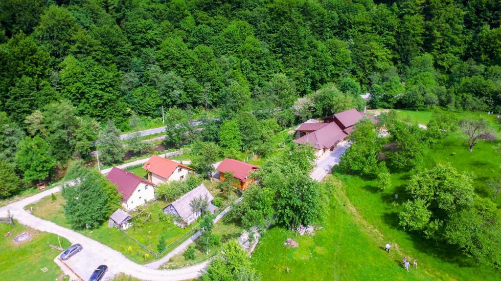 an aerial view of a house in the middle of a forest at Pensiunea Lupul Dacic in Costeşti