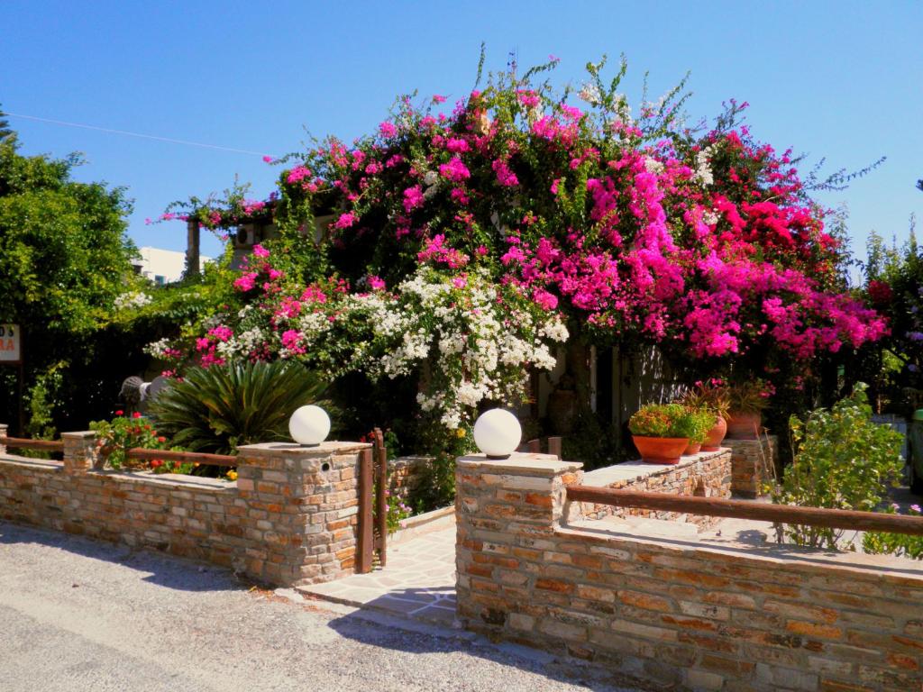 um jardim com flores cor-de-rosa numa parede de tijolos em Dimitra Studios em Kastraki Naxou