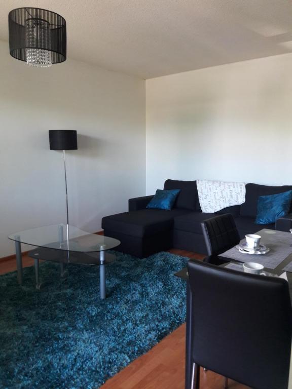 ein Wohnzimmer mit einem schwarzen Sofa und einem blauen Teppich in der Unterkunft Apartment Kivistö with balcony, 2 km from the center free parking in Jyväskylä