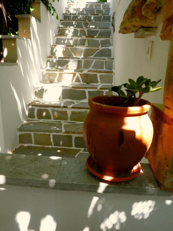 Fotografie z fotogalerie ubytování Dimitra Studios v destinaci Kastraki Naxou