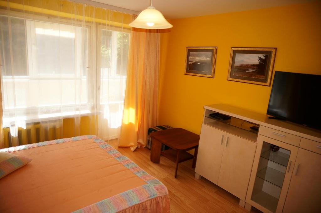 a bedroom with a bed and a television and a window at Karolina in Nida