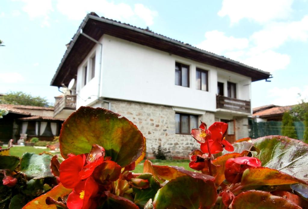 a house in the background with red flowers in the foreground at The Gates Apartments in Koprivshtitsa