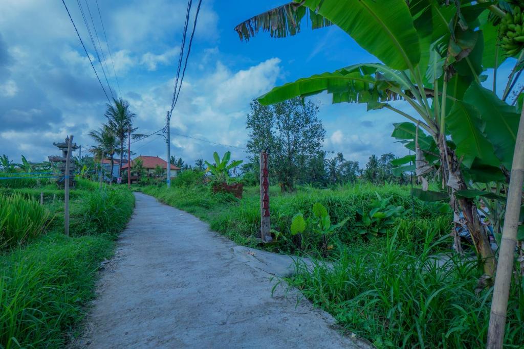 Zahrada ubytování Vinayaka Ubud