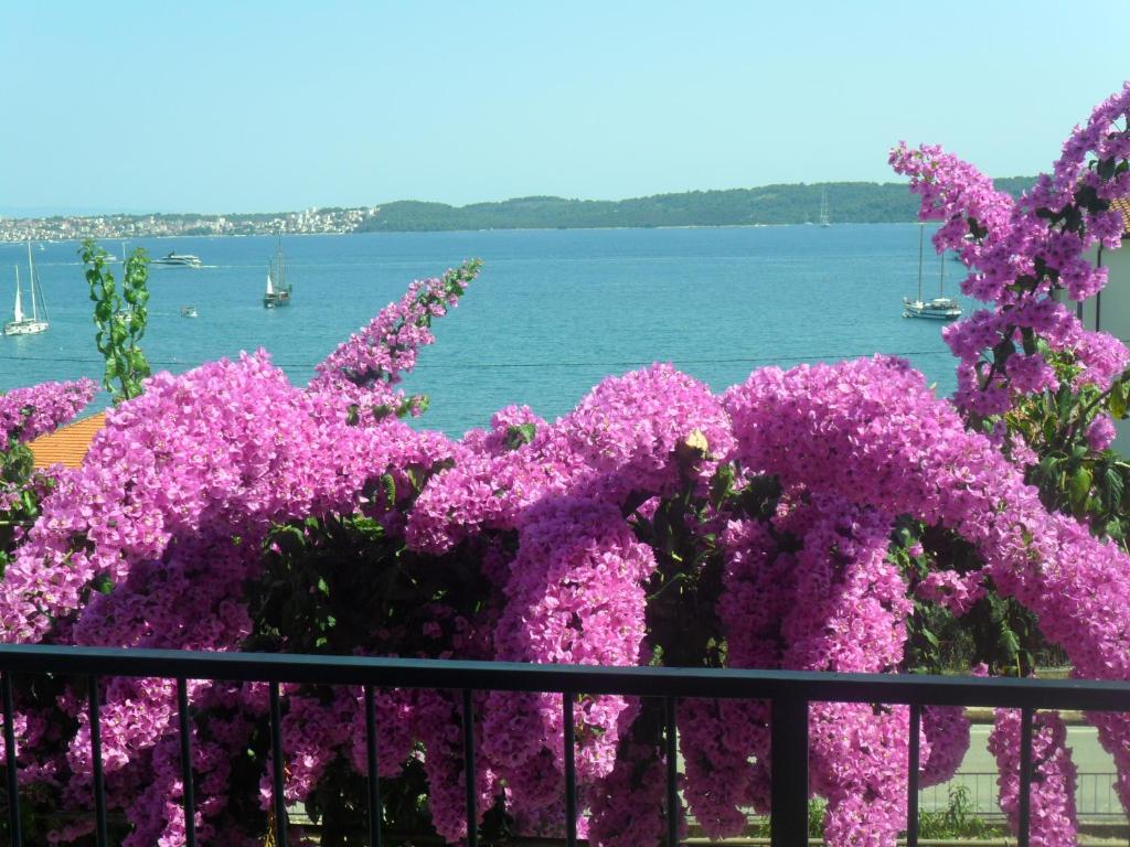 un montón de flores púrpuras junto a una valla en Apartment Filip, en Trogir