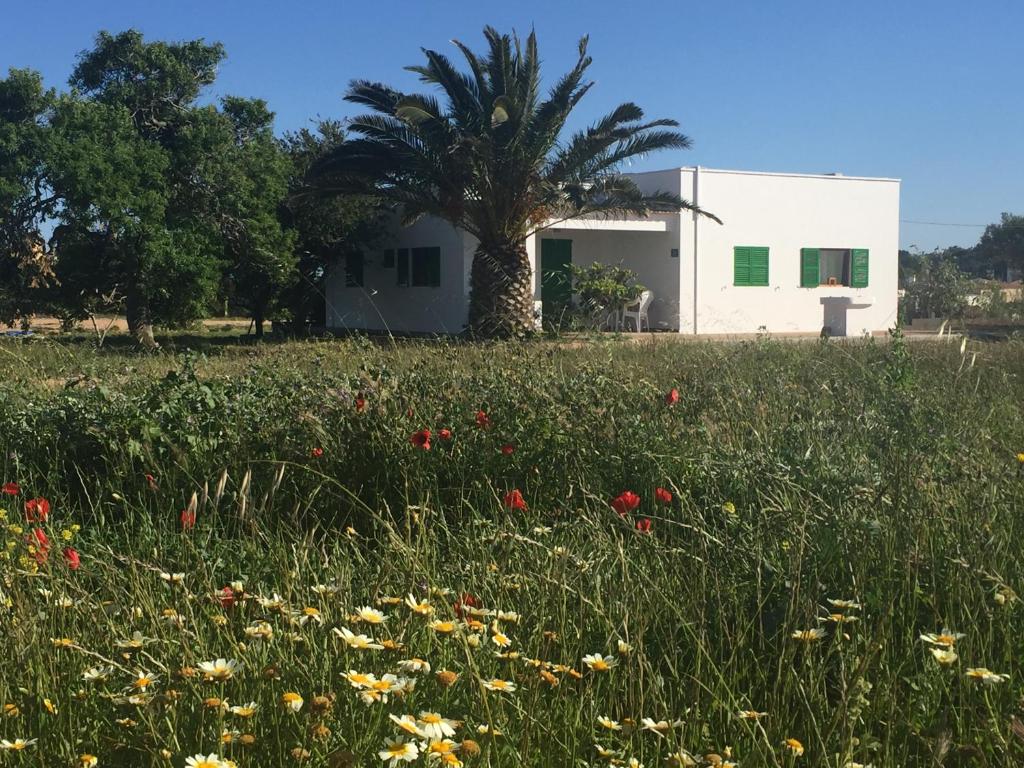 a house with a palm tree in a field of flowers at Es Magraner in Cala Saona